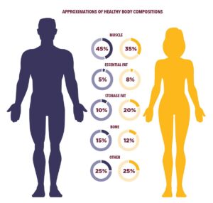 Strategies to Enhance Body Composition